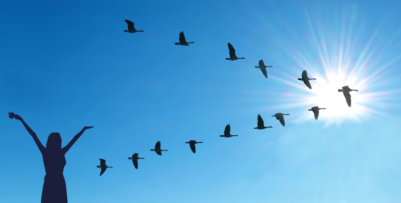 Кой знак следва АДМБ?